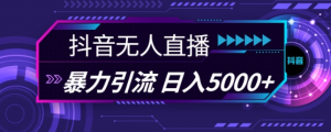 抖音快手视频号全平台通用无人直播引流法，利用图片模板和语音话术，暴力日引流100+创业粉【揭秘】-大东资源库