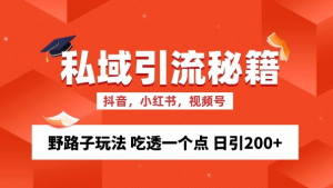 私域流量的精准化获客方法 野路子玩法 吃透一个点 日引200+ 【揭秘】-大东资源库