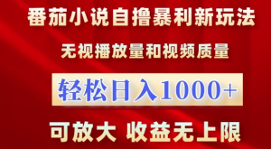 番茄小说自撸暴利新玩法，无视播放量，轻松日入1k，可放大，收益无上限【揭秘】-大东资源库