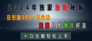 2024年独家涨粉秘籍，日引流300+创业粉，加爆你的微信好友，小白也能轻松上手-大东资源库