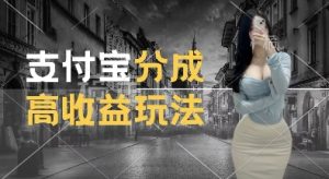 支付宝分成计划新玩法，利用交通事故视频，赚收益，轻松月入过W，操作简单【揭秘】-大东资源库