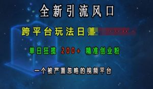 全新引流风口，跨平台玩法日入上k，单日狂揽200+精准创业粉，一个被严重忽略的视频平台-大东资源库