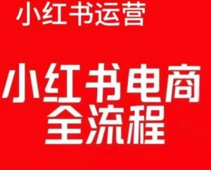 红薯电商实操课，小红书电商全流程-大东资源库