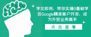 学完即用，带你实操0基础学会Google精准客户开发，成为外贸业务高手-大东资源库
