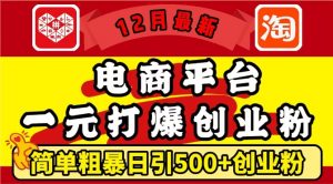 12月最新：电商平台1元打爆创业粉，简单粗暴日引500+精准创业粉，轻松月入过W【揭秘】-大东资源库