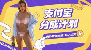 利用海外靶场射击视频，挣支付宝分成收益，轻松月入过W【揭秘】-大东资源库