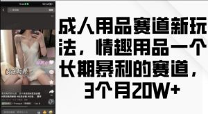 成人用品赛道新玩法，情趣用品一个长期暴利的赛道，3个月收益20个【揭秘】-大东资源库
