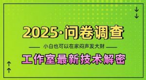 2025问卷调查最新工作室技术解密：一个人在家也可以闷声发大财，小白一天2张，可矩阵放大【揭秘】-大东资源库