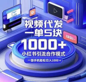 视频代发，一单5块，小红书引流合作模式，一部手机轻松日入多张【揭秘】-大东资源库