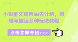 小说推文项目38天计划，剪辑与搬运多种玩法教程-大东资源库