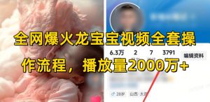 全网爆火龙宝宝视频全套操作流程，播放量2000万+-大东资源库