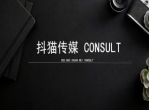 抖猫学院小红书聚光详细操作流程实操-大东资源库