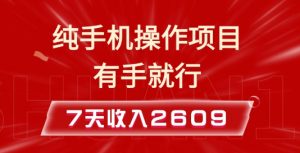 纯手机操作的小项目，有手就能做，7天收入2609+实操教程【揭秘】-大东资源库