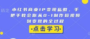 小红书商业IP变现私教，手把手教会你从0-1制作短视频到变现的全过程-大东资源库