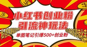 小红书创业粉引流神玩法，单图笔记引爆500+精准创业粉丝，私信狂潮接连不断-大东资源库