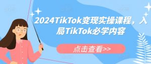 2024TikTok变现实操课程，入局TikTok必学内容-大东资源库