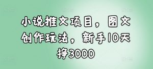 小说推文项目，图文创作玩法，新手10天挣3000-大东资源库