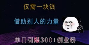 仅需一块钱，借助别人的力量，单日引爆300+创业粉、兼职粉【揭秘】-大东资源库