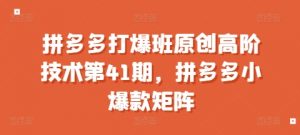 拼多多打爆班原创高阶技术第41期，拼多多小爆款矩阵-大东资源库