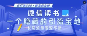 微信读书，一个隐藏的引流宝地，不为人知的小众打法，日引流300+精准创业粉，长尾流量源源不断-大东资源库