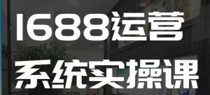 1688高阶运营系统实操课，快速掌握1688店铺运营的核心玩法-大东资源库