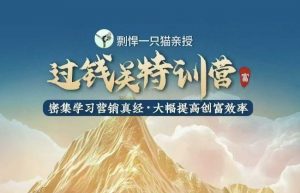 剽悍一只猫-过钱关特训营，学习营销真经 大幅度提高创富效率-大东资源库