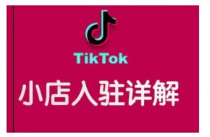 TikTok跨境小店运营全攻略，帮助你独立运营TK跨境小店的能力，实现销量增长-大东资源库
