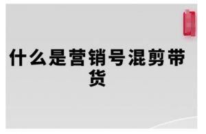 营销号混剪带货，从内容创作到流量变现的全流程，教你用营销号形式做混剪带货-大东资源库