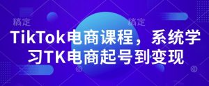 TikTok电商课程，​系统学习TK电商起号到变现-大东资源库