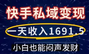 一天收入1691.5，快手私域变现，小白也能闷声发财-大东资源库