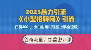 2025最新暴力引流方法，招聘平台一天引流300+，日变现多张，专业人士力荐-大东资源库
