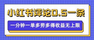 小红书留言评论，0.5元1条，一分钟一单，多劳多得，收益无上限-大东资源库