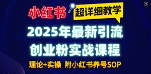 2025年最新小红书引流创业粉实战课程【超详细教学】小白轻松上手，月入1W+，附小红书养号SOP-大东资源库
