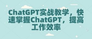 ChatGPT实战教学，快速掌握ChatGPT，提高工作效率-大东资源库