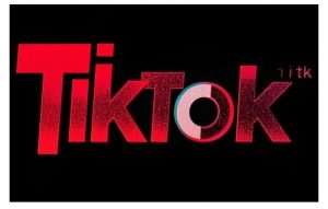 TikTok ads投流秘籍，涵盖tiktok整体投放思路，教你搭建测试计划-大东资源库