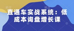 直通车实战系统：低成本询盘增长课，让个人通过技能实现升职加薪，让企业低成本获客，订单源源不断-大东资源库