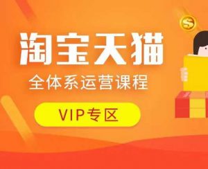 淘宝天猫全体系运营课程：店铺全系运营、动销玩法、付费推广、流量提升、擦边球玩法等等-大东资源库