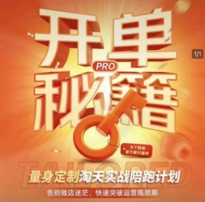 淘宝开单秘籍PRO，量身定制淘天实战陪跑计划，告别做店迷茫、快速突破运营瓶颈期-大东资源库