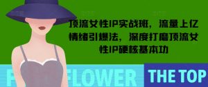 顶流女性IP实战班，流量上亿情绪引爆法，深度打磨顶流女性IP硬核基本功-大东资源库