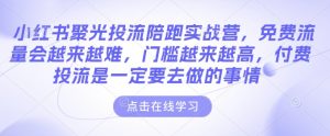 小红书聚光投流陪跑实战营，免费流量会越来越难，门槛越来越高，付费投流是一定要去做的事情-大东资源库