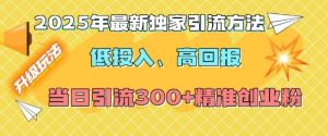 2025年最新独家引流方法，低投入高回报？当日引流300+精准创业粉-大东资源库