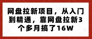 网盘拉新项目，从入门到精通，靠网盘拉新3个多月搞了16W-大东资源库