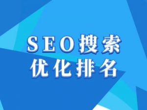 抖音搜索SEO教程，抖音SEO搜索优化排名-大东资源库