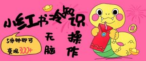 小红书冷知识账号，无脑复制粘贴，5分钟即可变现3张-大东资源库