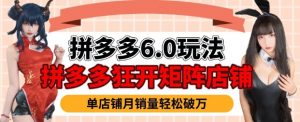 拼多多虚拟商品暴利6.0玩法，轻松实现月入过W-大东资源库