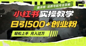 2月小红书最新日引500+创业粉实操教学【超详细】小白轻松上手，月入1W+，附小红书养号起号SOP-大东资源库