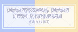 知乎小说推文怎么玩，知乎小说推文项目保姆级实战教程-大东资源库