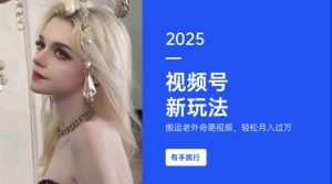 搬运老外奇葩视频，撸视频号分成计划收益，每天只需一小时，新手小白轻松月入过W-大东资源库