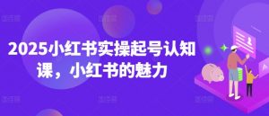 2025小红书实操起号认知课，小红书的魅力-大东资源库