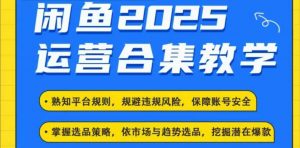 2025闲鱼电商运营全集，2025最新咸鱼玩法-大东资源库